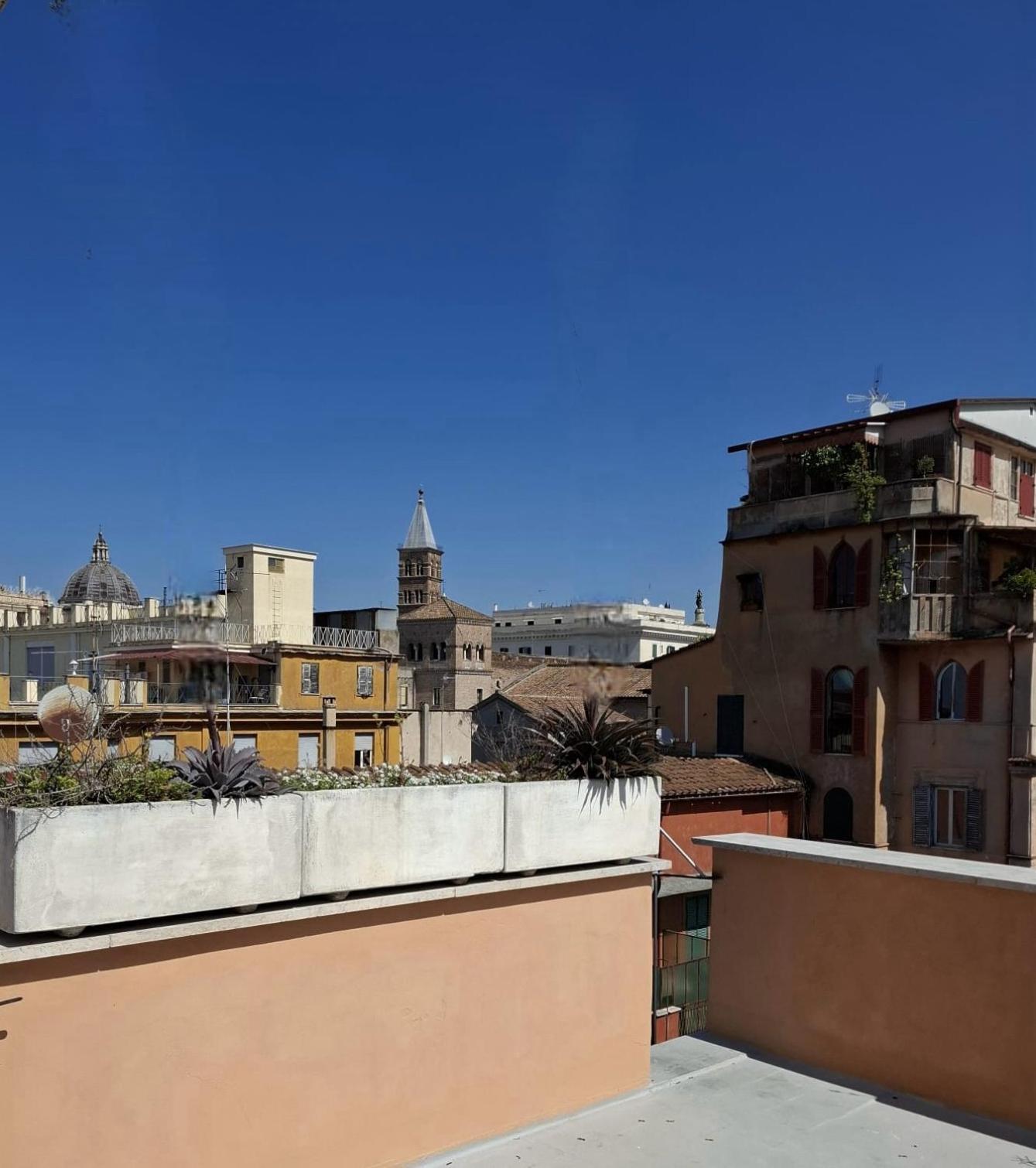 Monti View Rom